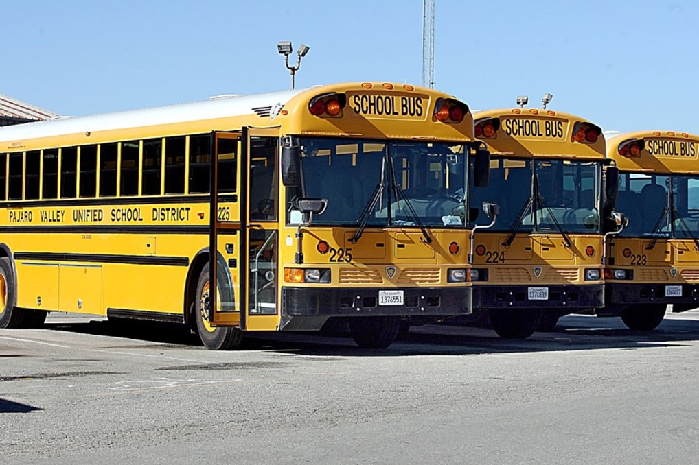 School Yellow Buses